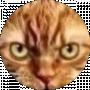 dkgn2gm dkgn2gm