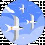 Haly Misyurak