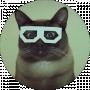ДНЕВНИК КОТА