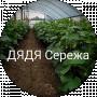Сергей URA