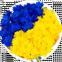 Яна Кириловна