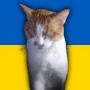 Вова Федорченко