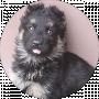 Sергей Владимирович