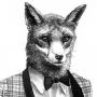 Crafty Fox