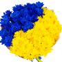 Яна Кириловна