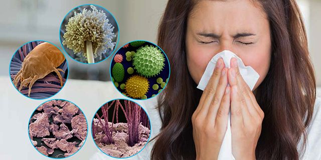 Интересные факты о самых известных аллергиях