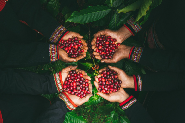 Кофейни Полтавы: specialty-кофе и обычный — в чем разница?