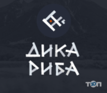 Логотип Дика риба, база відпочинку м. Хмельницький