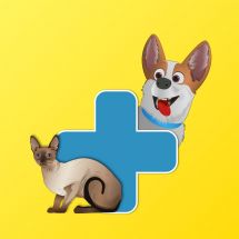 Добродій, ветеринарна клініка у Хмельницькому Логотип Добродій, ветеринарна клініка м. Хмельницький