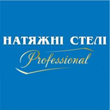 Логотип Натяжні стелі Professional г. Житомир