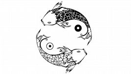 Логотип Інь Янь, доставка суші м. Миколаїв