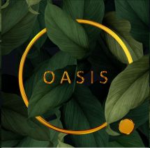 Логотип Oasis, ресторан г. Винница