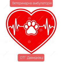 Логотип Ветеринарна амбулаторія, ветеринарна аптека, зоомагазин в ОТГ Давидківці м. Хмельницький