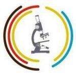 Логотип УКРАЇНСЬКО — НІМЕЦЬКА ЛАБОРАТОРІЯ м. Луцьк