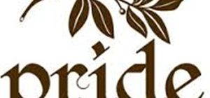 Логотип Pride, фитнес-клуб г. Днепр