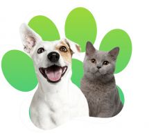 Логотип Vetdental г. Винница