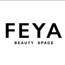 Логотип ФЕЯ м. Вінниця