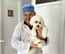 Логотип У Валери, ветеринарна клініка м. Чернівці