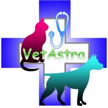 Логотип VetAstra, амбулаторія ветеринарної медицини м. Хмельницький