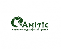 Логотип Амитис г. Винница