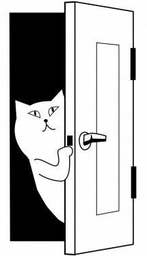 Логотип Двері Store, магазин дверей м. Кропивницький