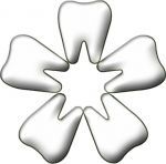 Логотип Дент Майстер г. Тернополь