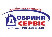 Логотип Добрыня Сервис г. Ровно