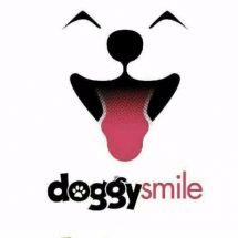 Логотип Doggy Smile, зооцентр м. Одеса