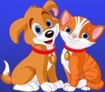 Логотип Доктор Котоффский, ветклиника г. Днепр