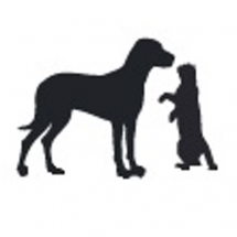 Логотип Чотири лапи, ветеринарна клініка м. Київ