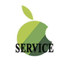 Логотип Green service, сервисный центр г. Астана