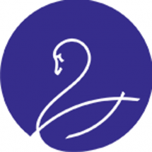 Логотип Lingerie, будинок білизни м. Одеса