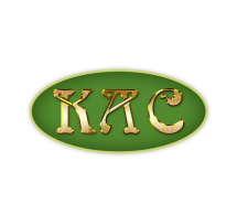 Логотип  г. Ровно