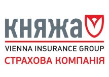 Логотип Княжа г. Винница