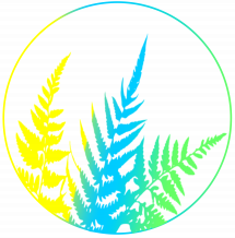 Логотип Палітра тату г. Житомир