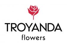 Логотип Troyanda flowers г. Винница
