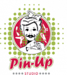 Логотип Pin-Up, салон красоты г. Житомир