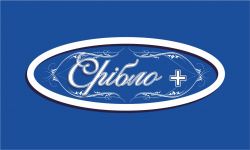 Логотип Срібло + м. Хмельницький