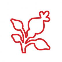 Логотип Шипшина, мережа торгово-сервісних центрів м. Одеса