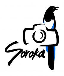 Логотип Сорока, фотоателье г. Тернополь