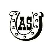 Логотип ТОВ Авто-Ас Груп, СТО м. Вінниця