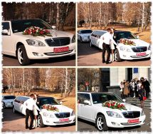 Логотип Святковий кортеж г. Житомир