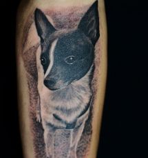 Логотип Тату-Студия Vean г. Тернополь