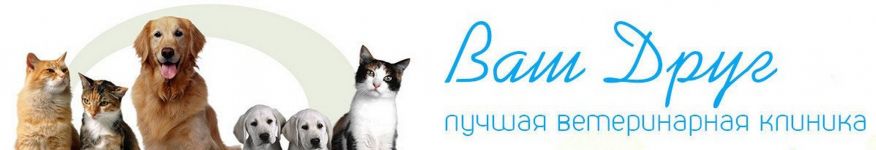 Логотип Ваш друг, ветеринарна клініка м. Одеса
