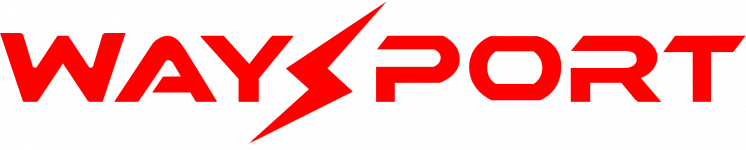 Логотип  м. Вінниця