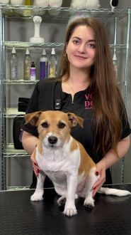 V.O.G Dog Salon, мережа грумінг-салонів фото