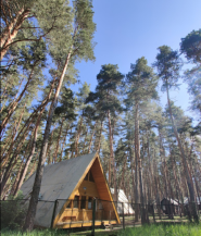Сонячний Бір, оренда заміських будинків для відпочинку фото
