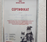 Сімейний ветеринарний кабінет Домбровських-Горщук фото
