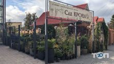 Сад.Крона, интерьерно-ландшафтная студия фото