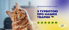 Мурко, ветеринарний пункт фото